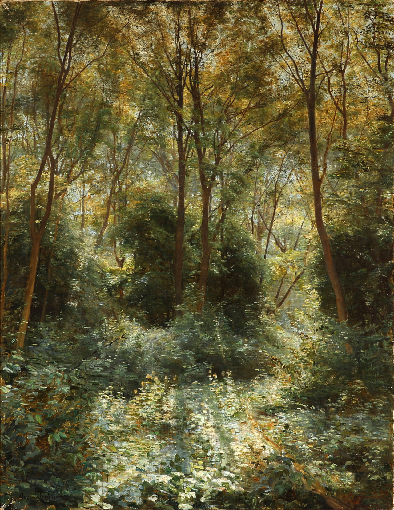 Sunshine in a dense forest by Aage Bertelsen