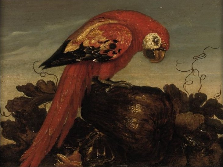 Parrot sitting on a large vegetable, eying a small lizard by Abraham Bosschaert
