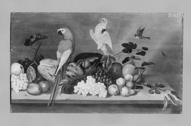 stillife, fruit and birds by Abraham Bosschaert