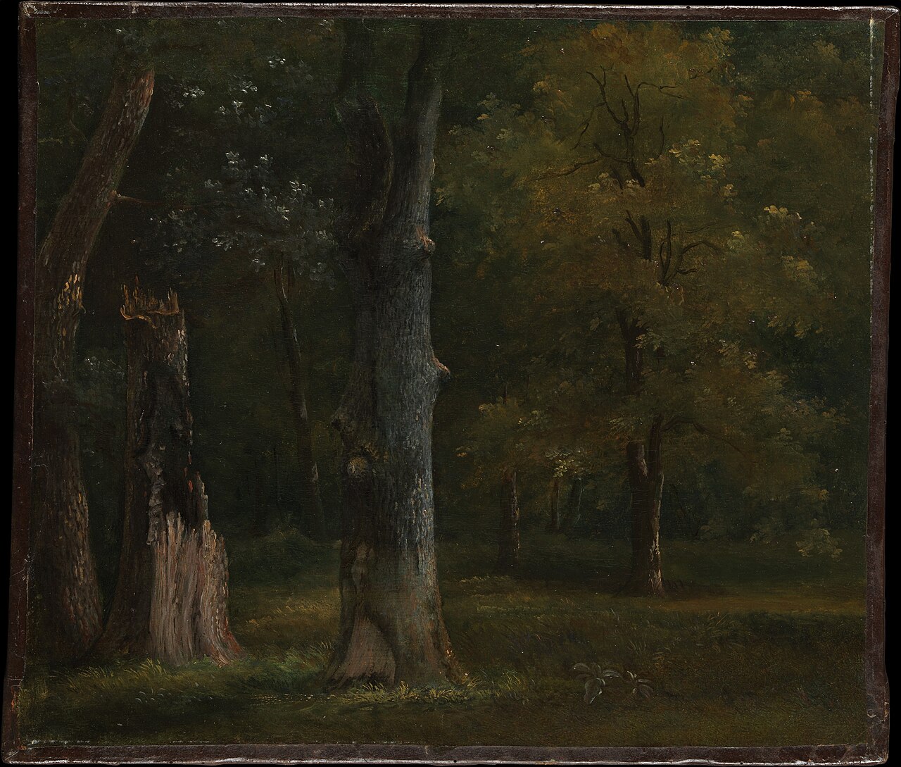 Trees in the Bois de Boulogne, Paris by Achille Etna Michallon