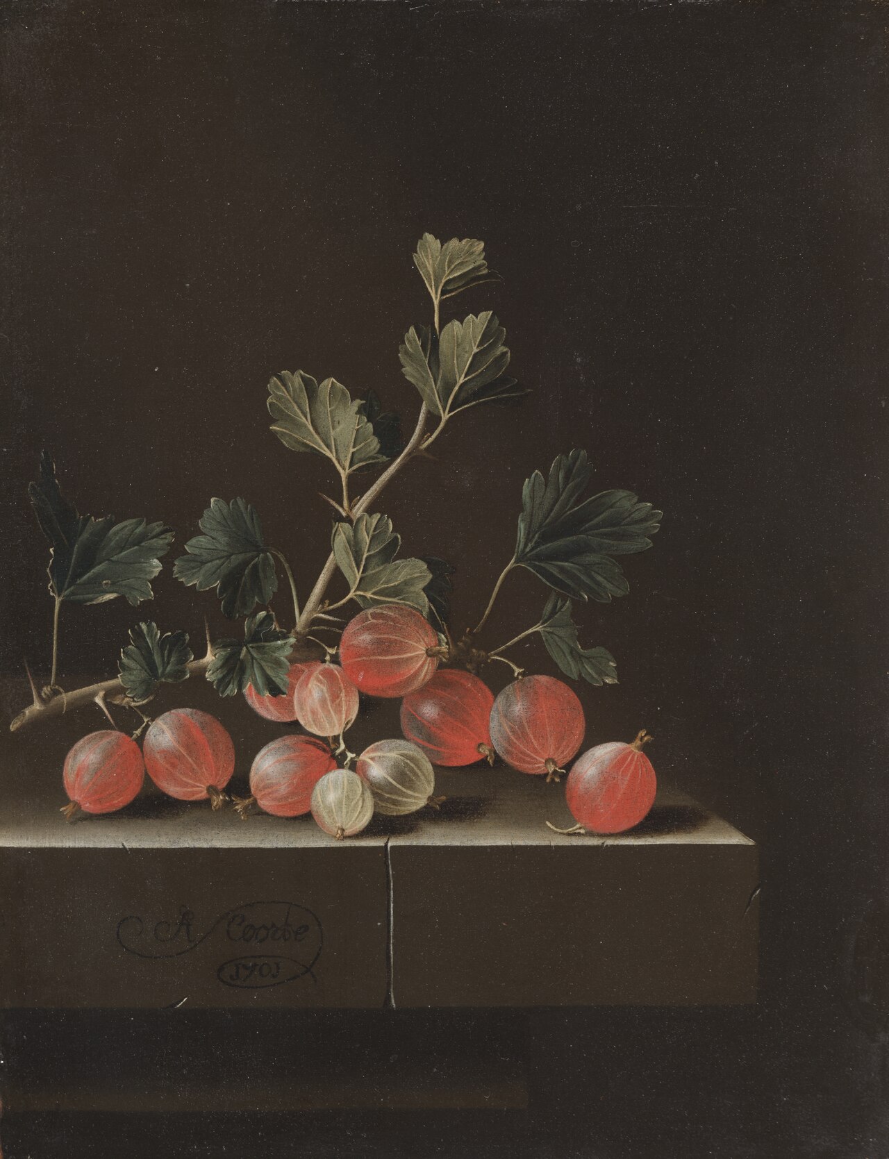 Gooseberries on a Table by Adriaen Coorte