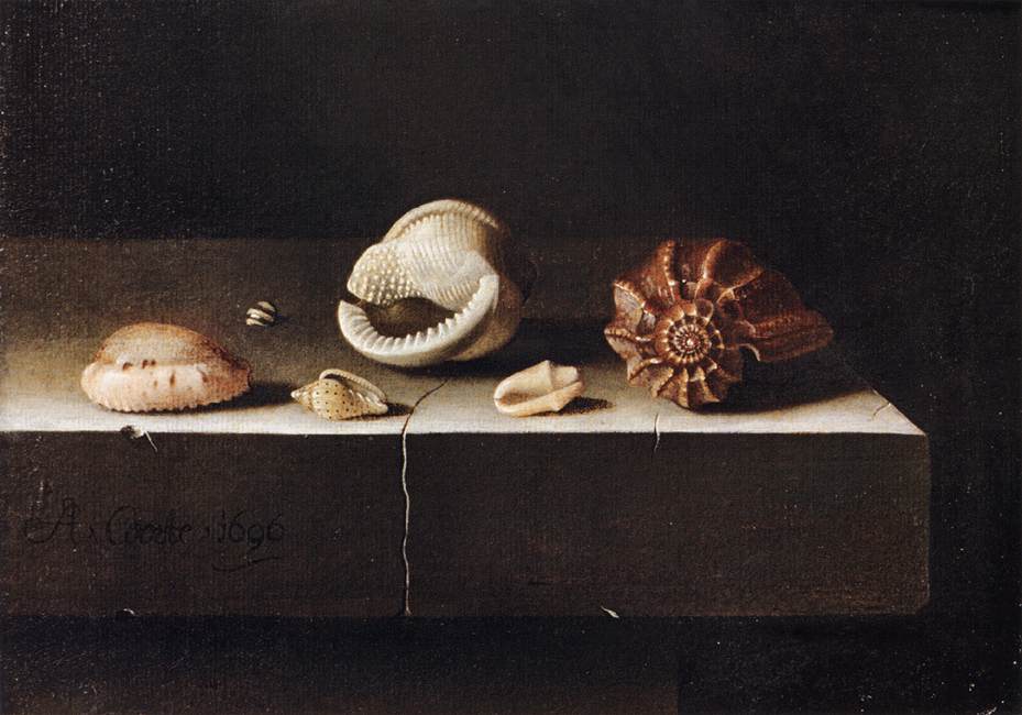 Still Life with Two Large and Four Smaller Shells by Adriaen Coorte