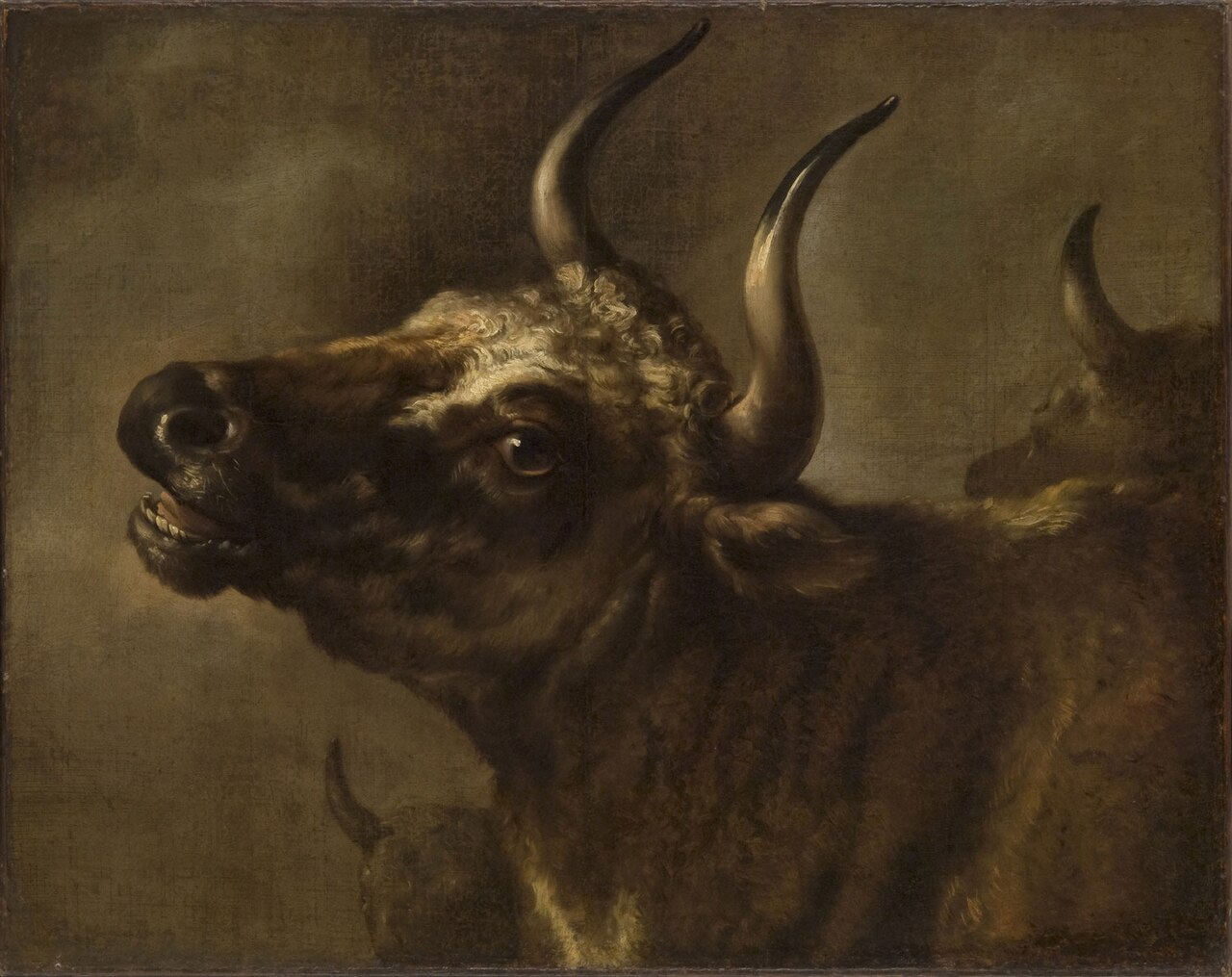 Bellowing Bull by Adriaen Cornelisz Beeldemaker