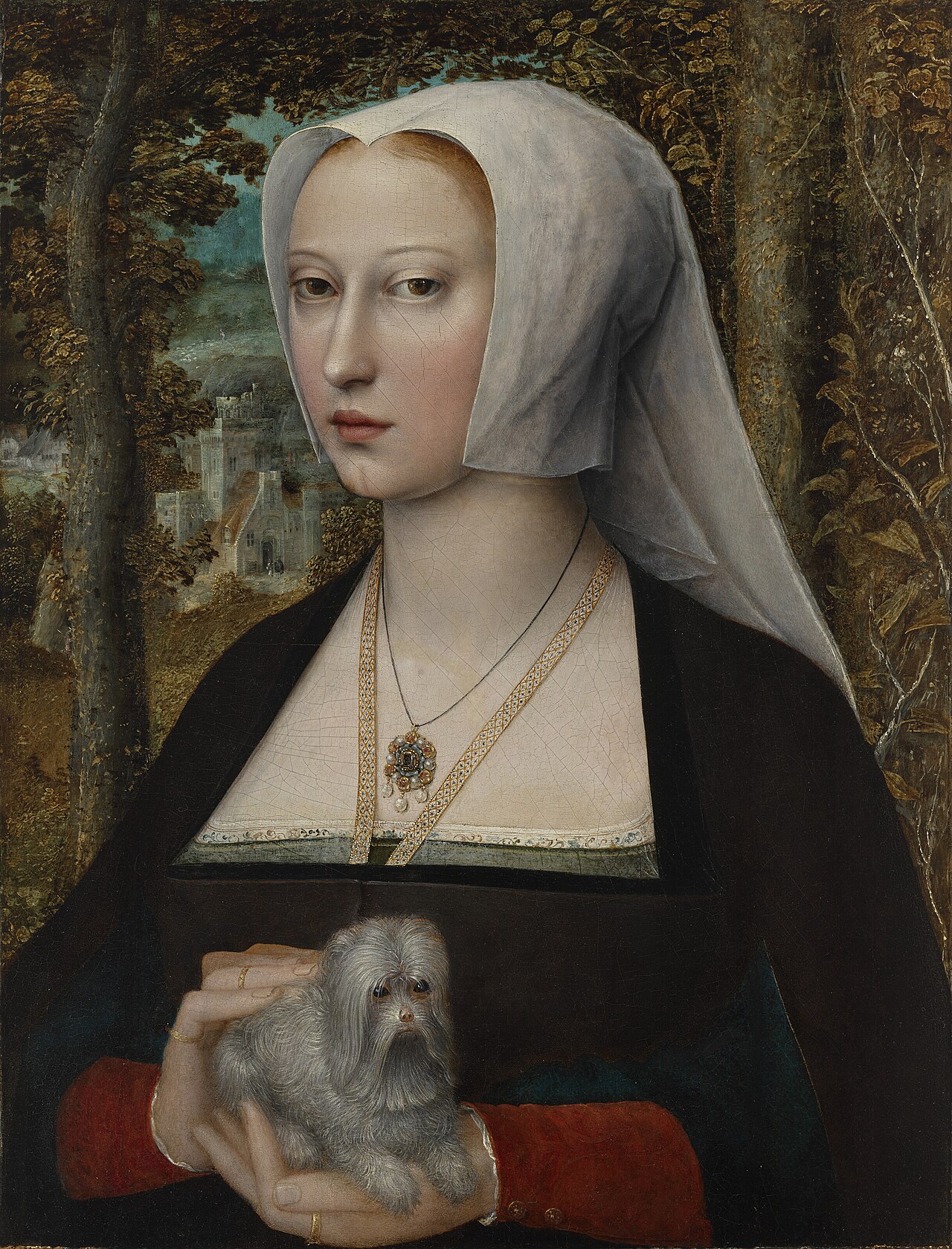 Portrait of a lady, half-length, with a dog by Adriaen Isenbrandt