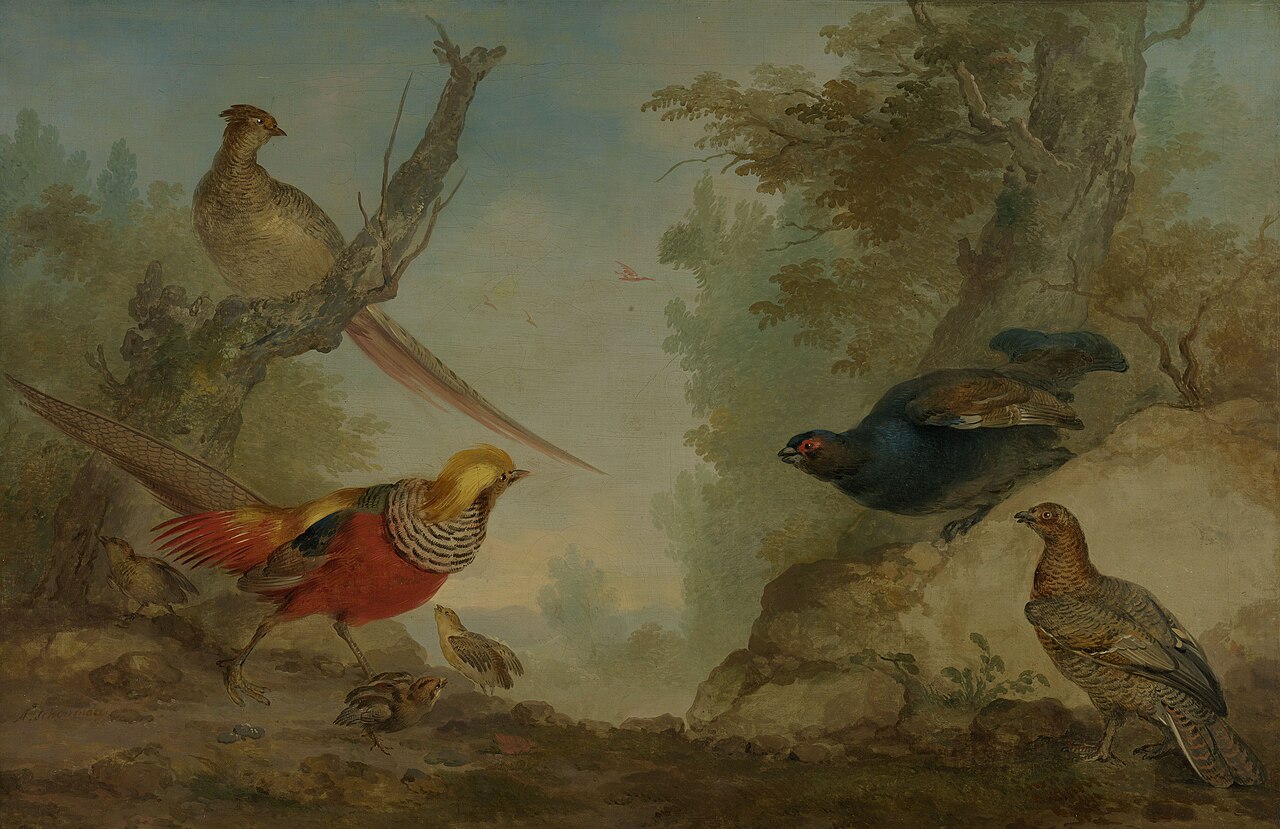 Pheasants by Aert Schouman