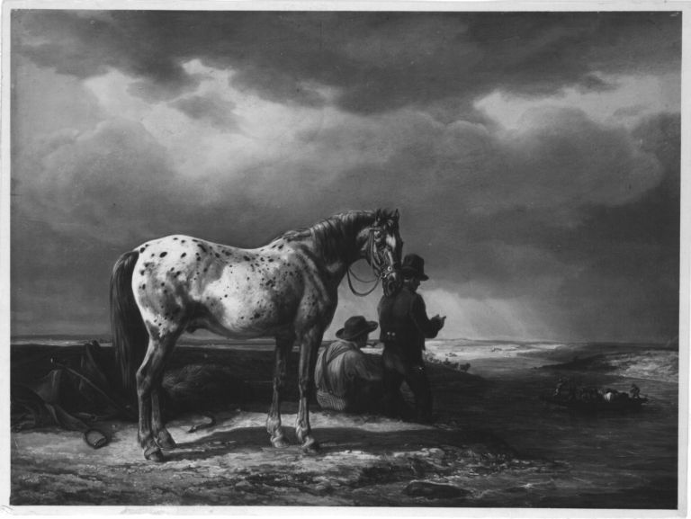 A mottled horse at a ford in a river by Albrecht Adam