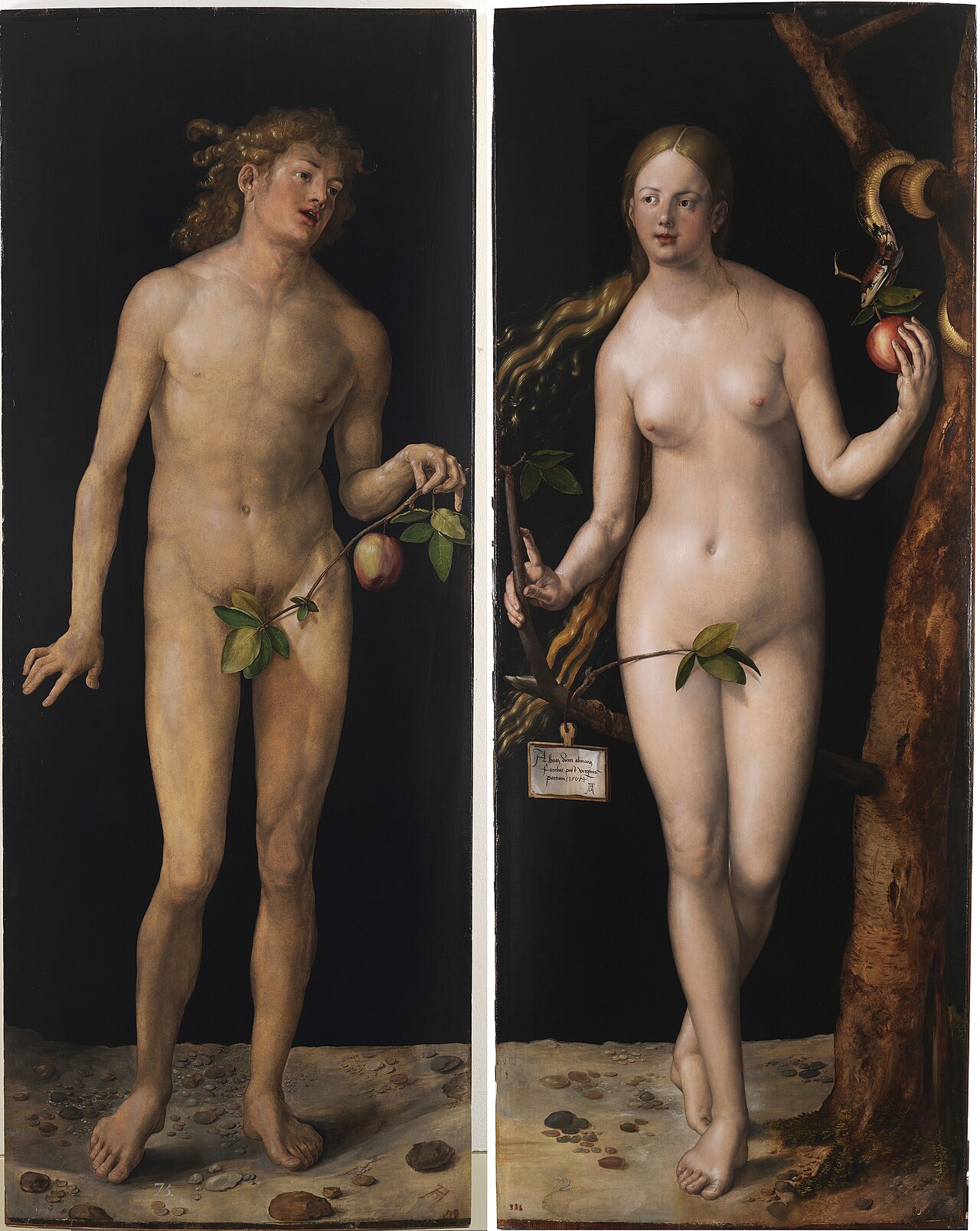 Adam and Eve by Albrecht Dürer
