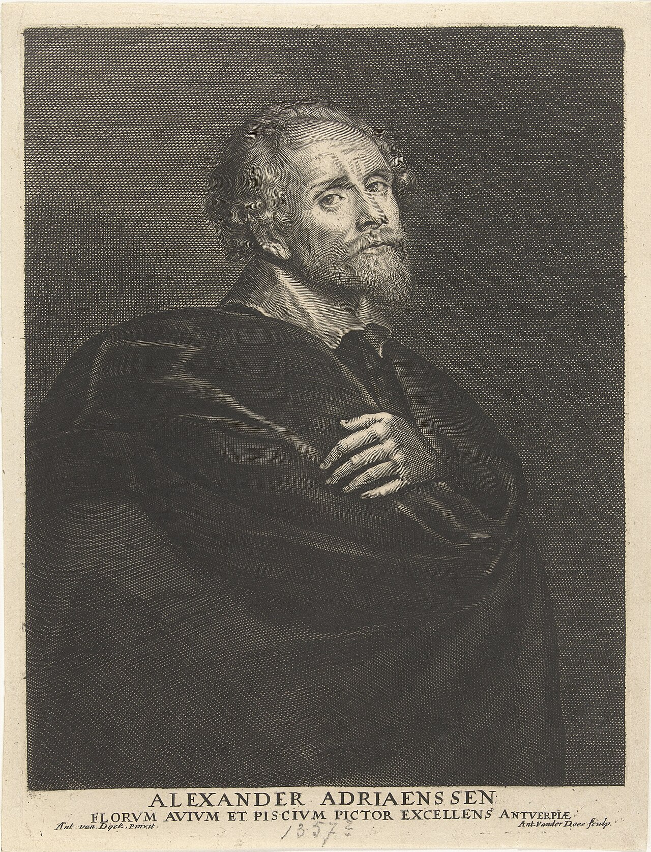 Portrait of Alexander Adriaenssen