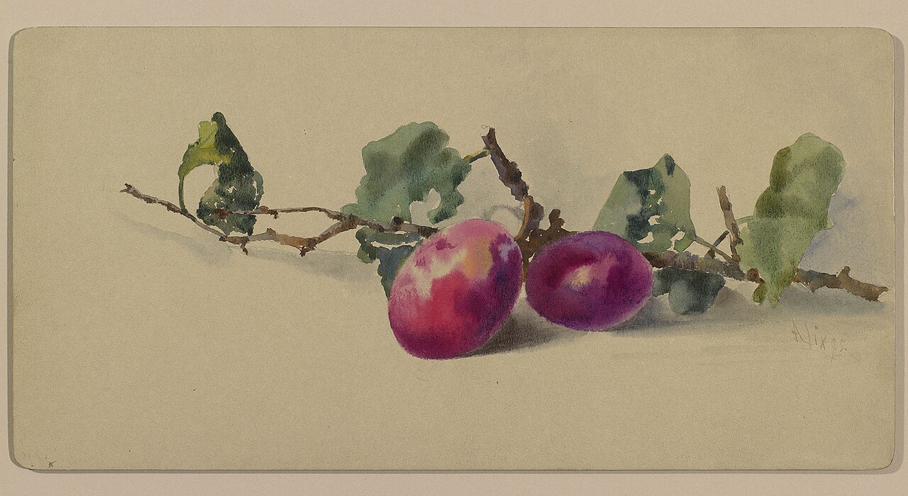 Branch with plums by Alexandra of Denmark