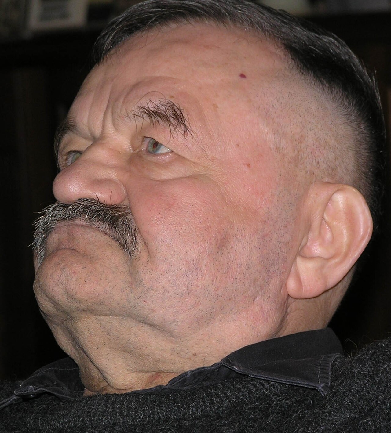 Portrait of Alfred Hrdlicka