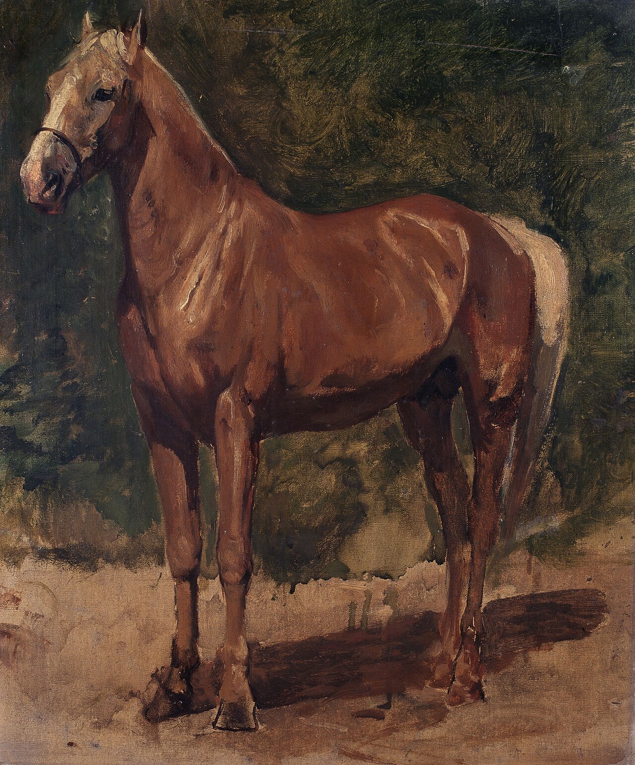 Study of a Horse by Alfred Verwee