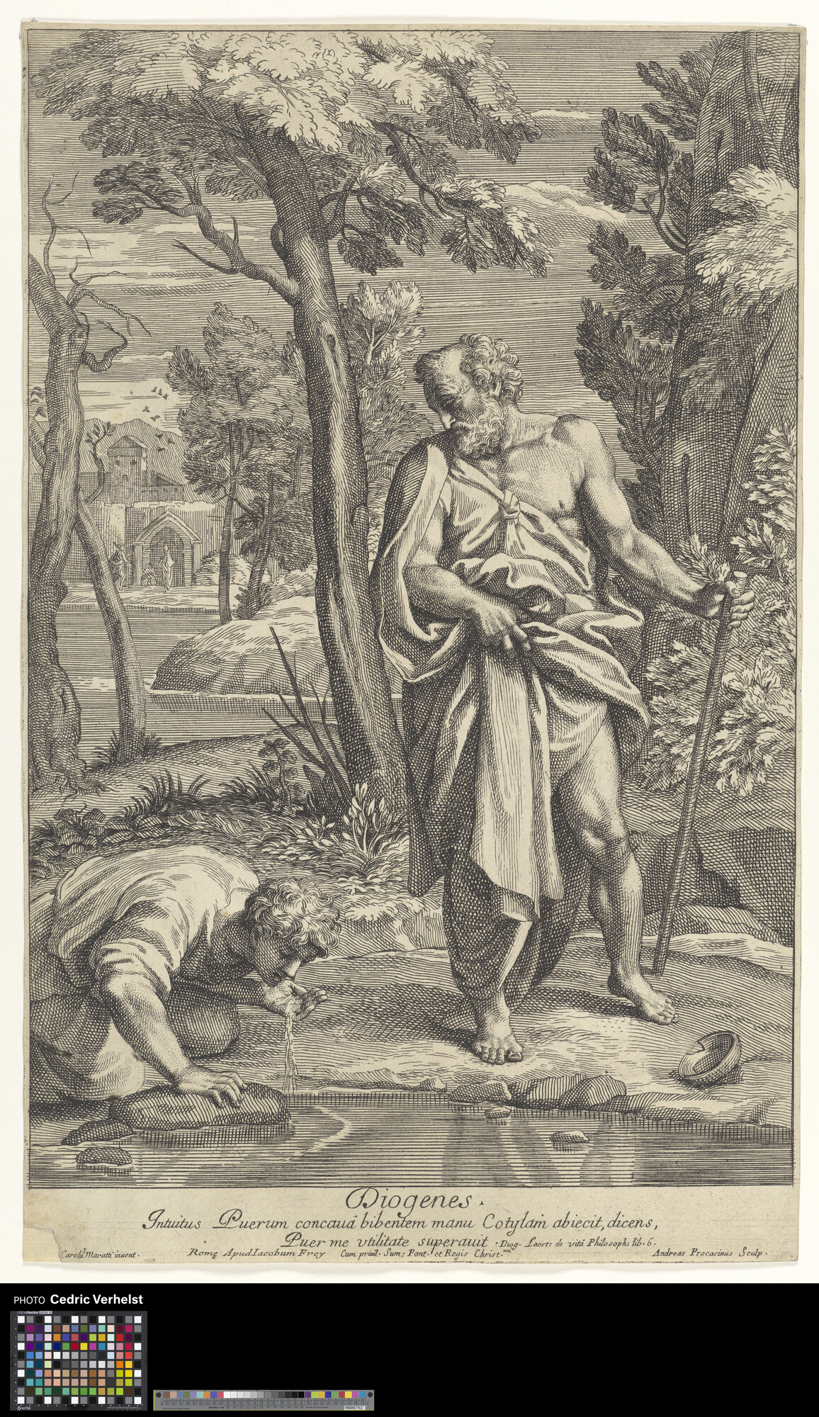 Diogenes by Andrea Procaccini
