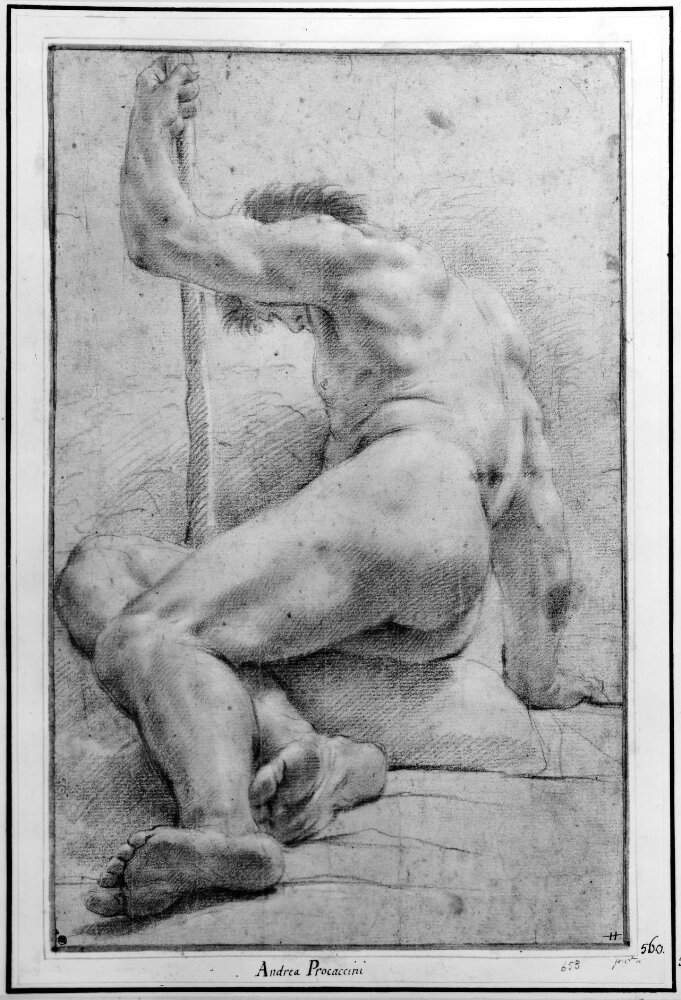 Male nude by Andrea Procaccini