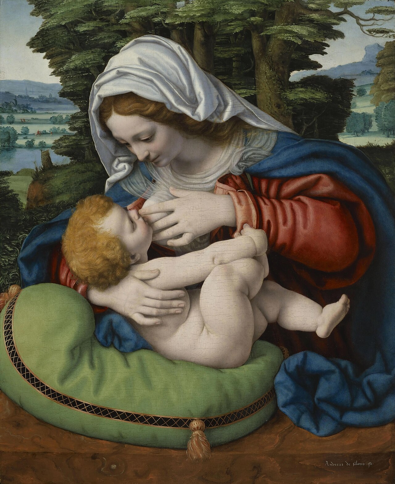 Madonna of the Green Cushion by Andrea Solari