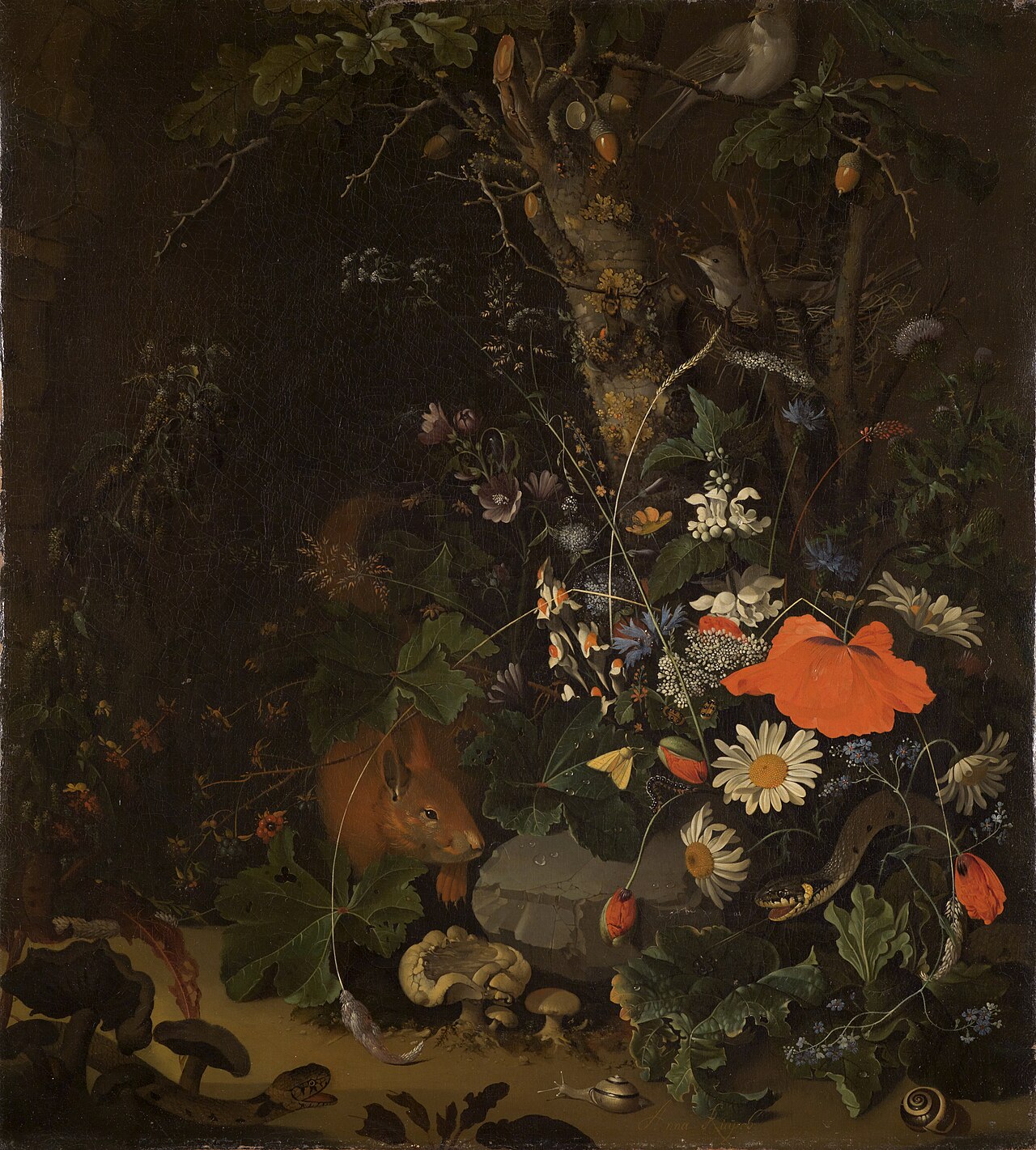 Forest still life with squirrel by Anna Ruysch