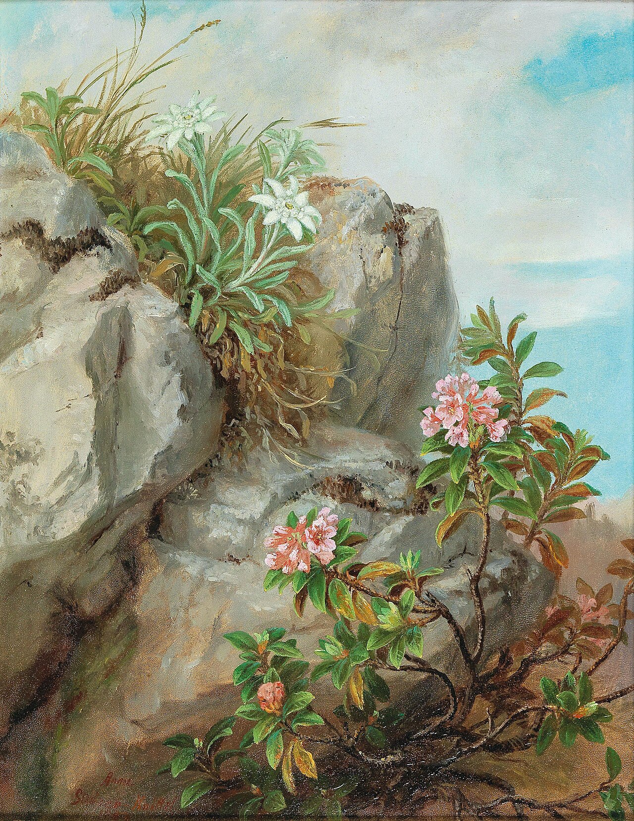 Alpine Roses by Anna Stainer-Knittel
