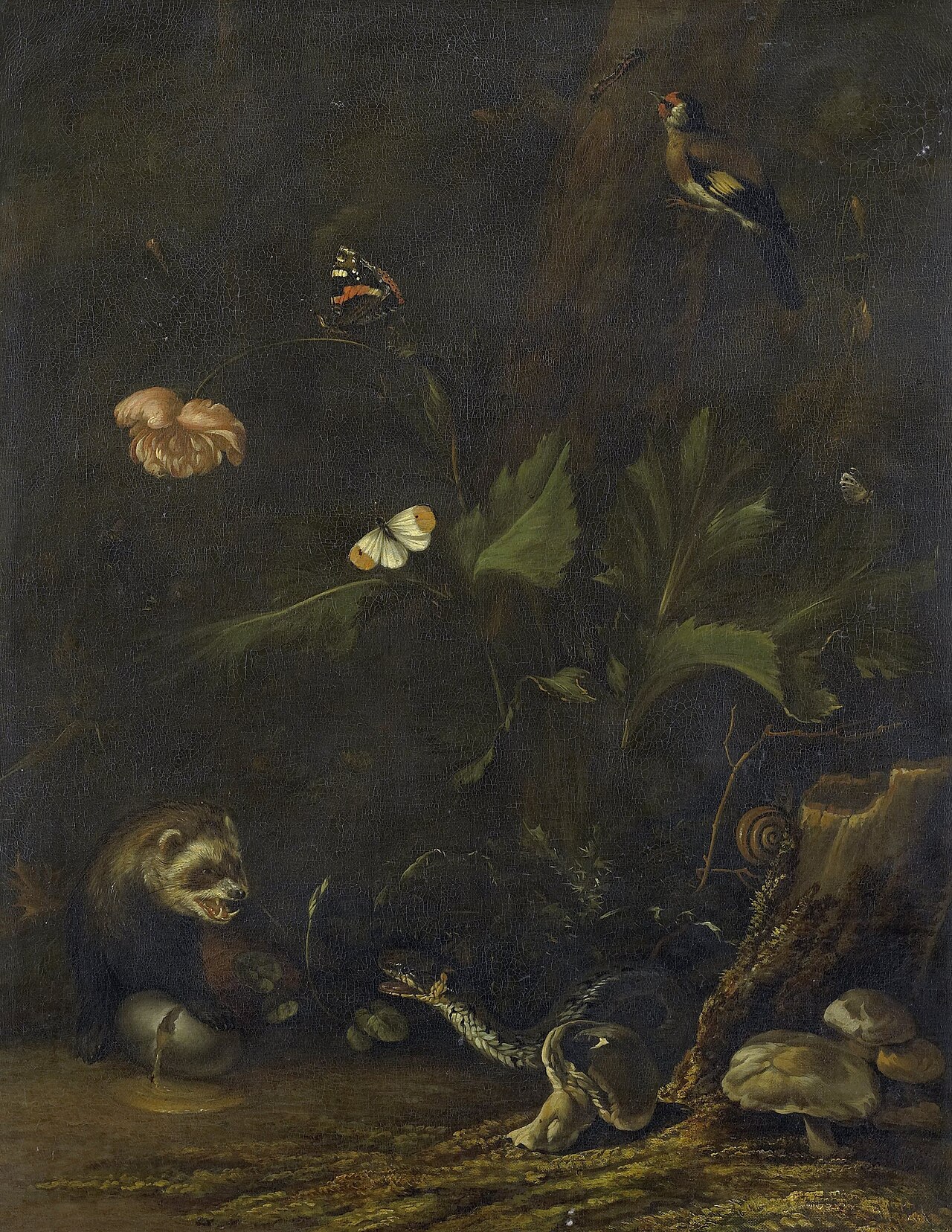 Animals and plants by Anthonie van Borssom