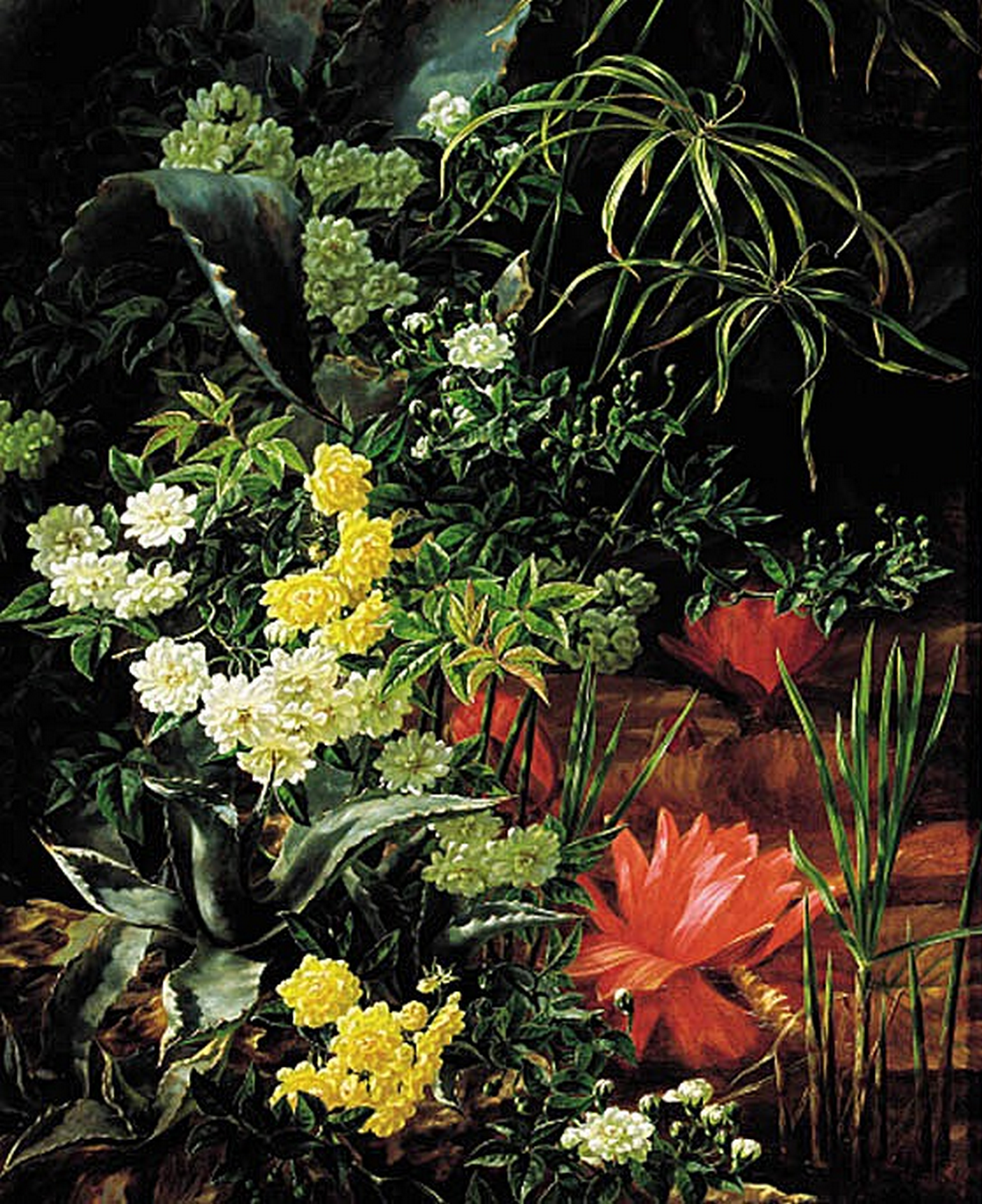Agaves, waterlilies and parasol plants near a pond. by Anthonore Christensen