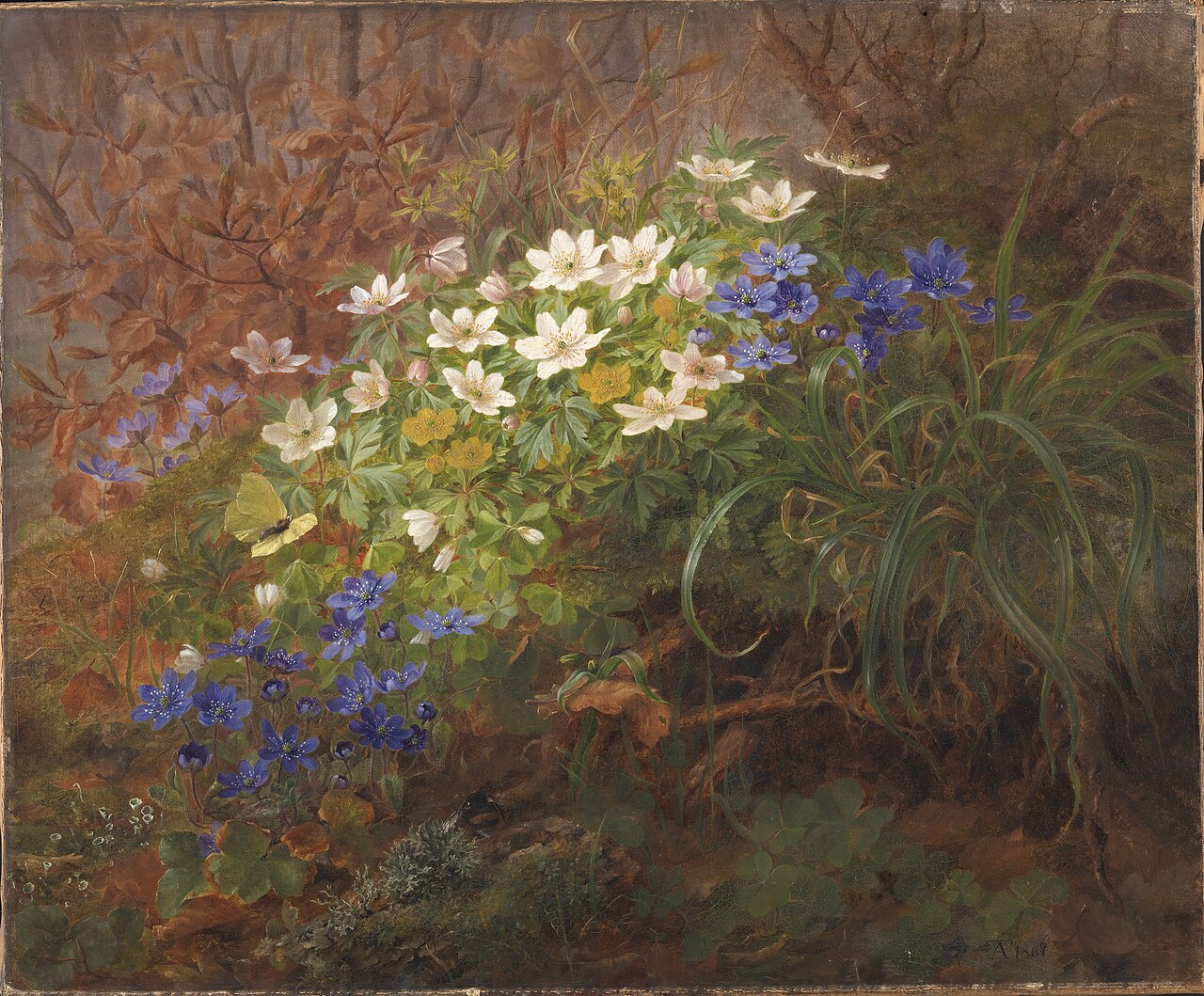 Anemoner by Anthonore Christensen