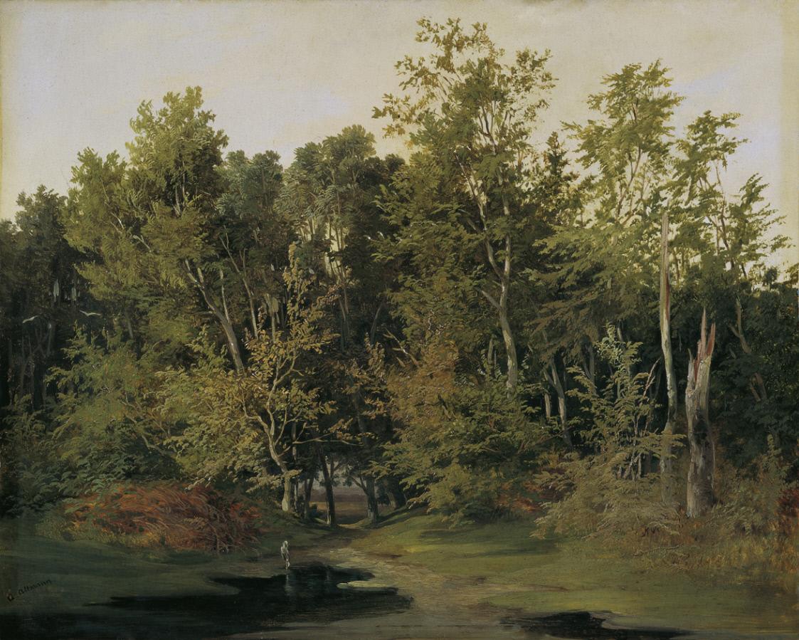 Forest landscape in Lower Austria by Anton Altmann