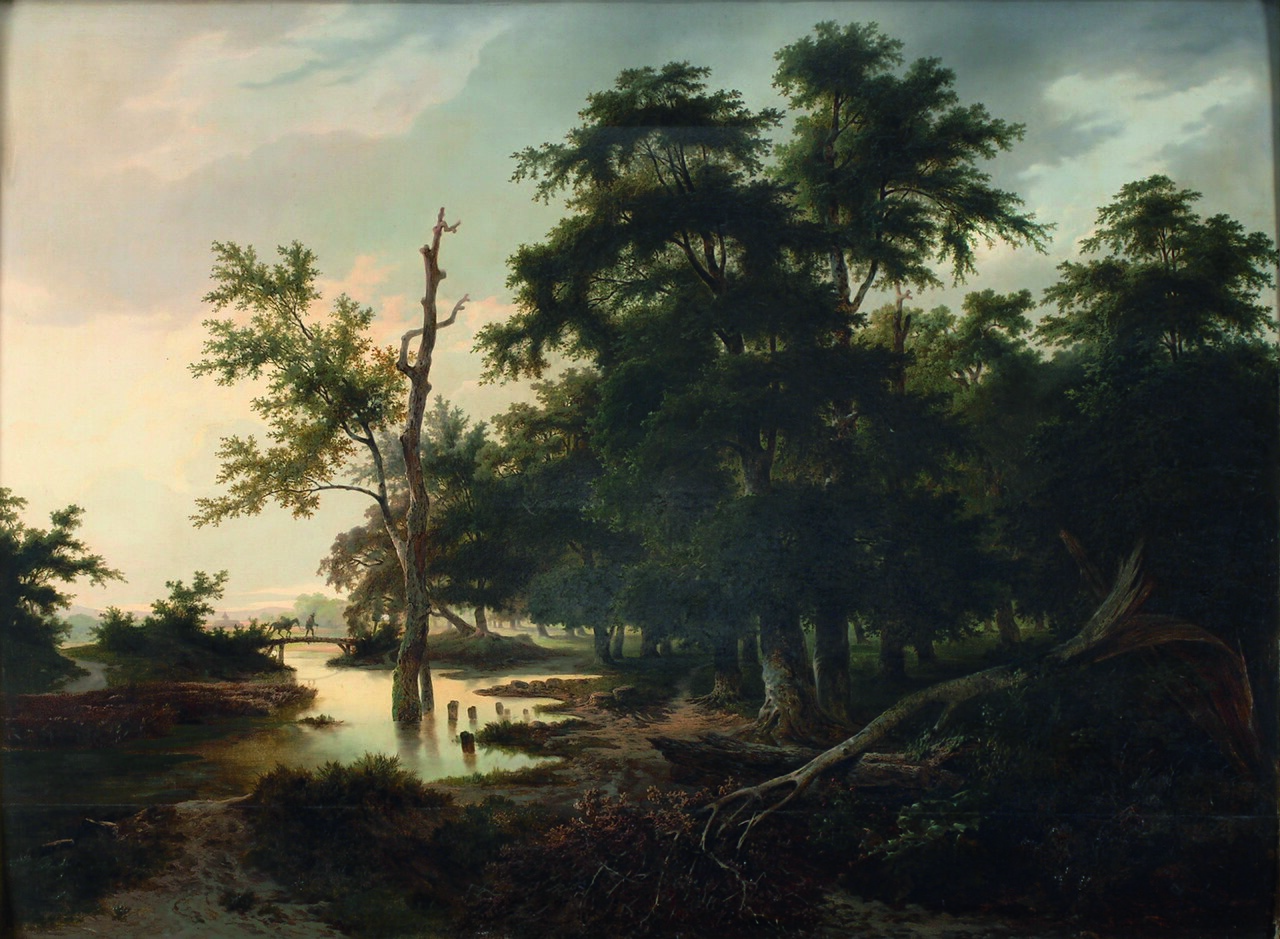 Forest landscape by Anton Altmann