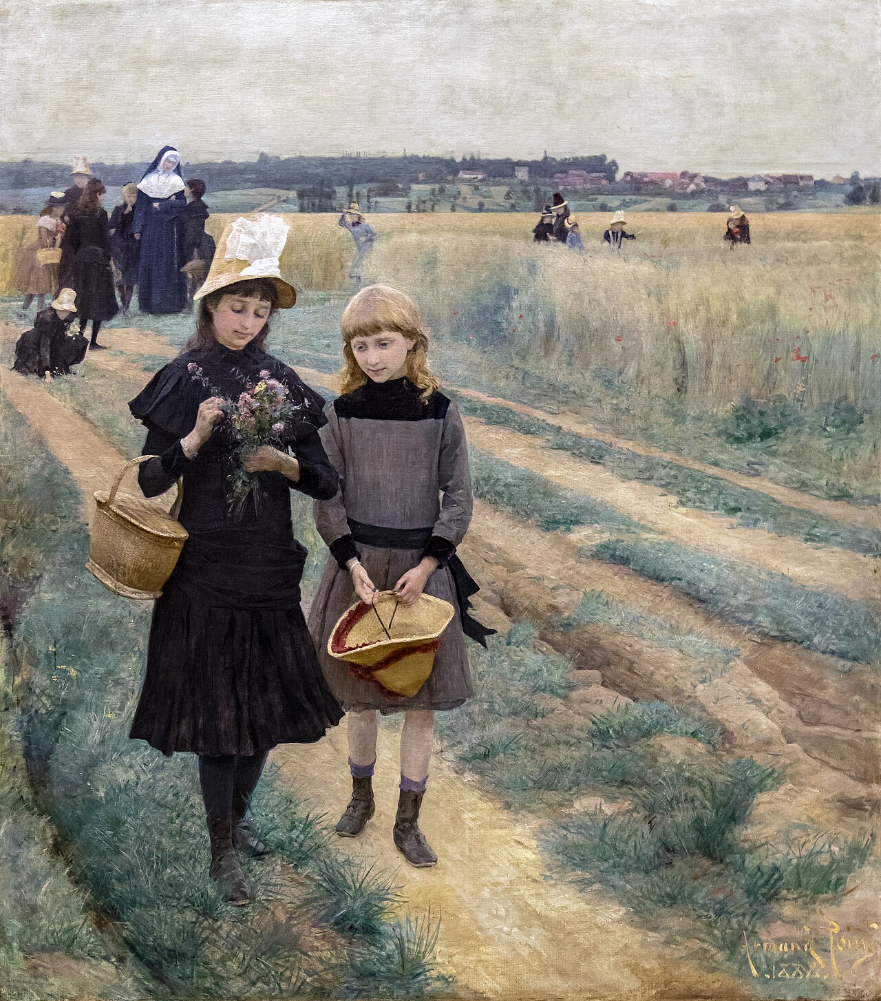 Thursday's walk in the fields by Armand Point