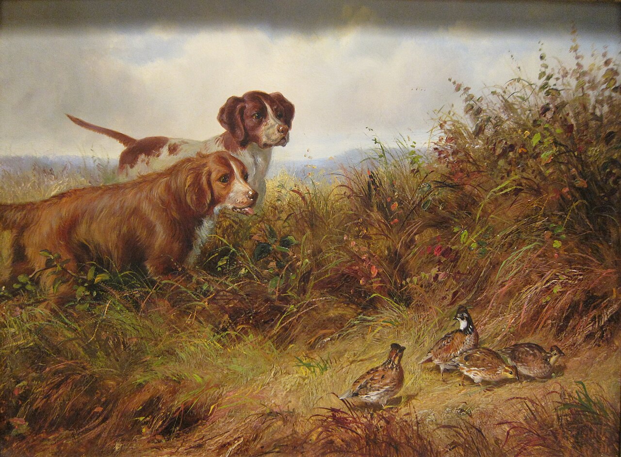 On Point by Arthur Fitzwilliam Tait