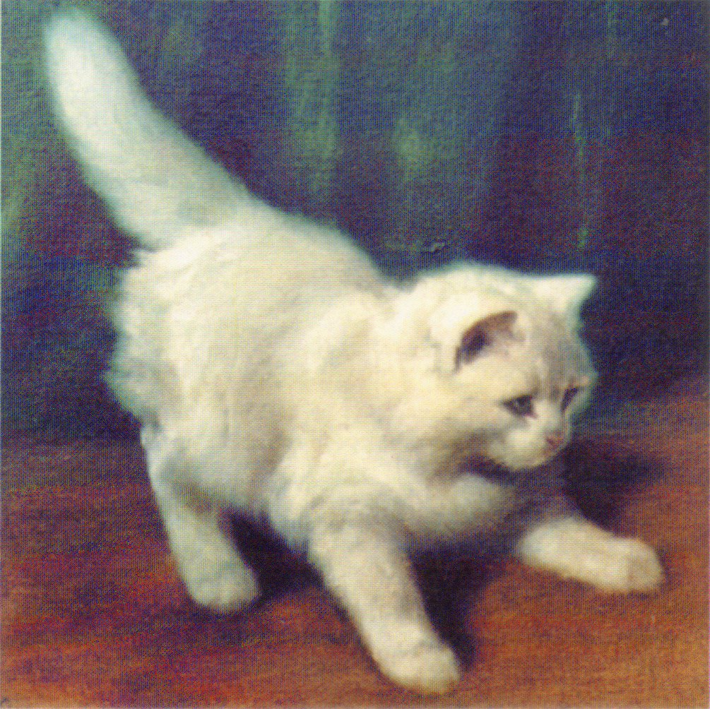 Young Angora Cat by Arthur Heyer