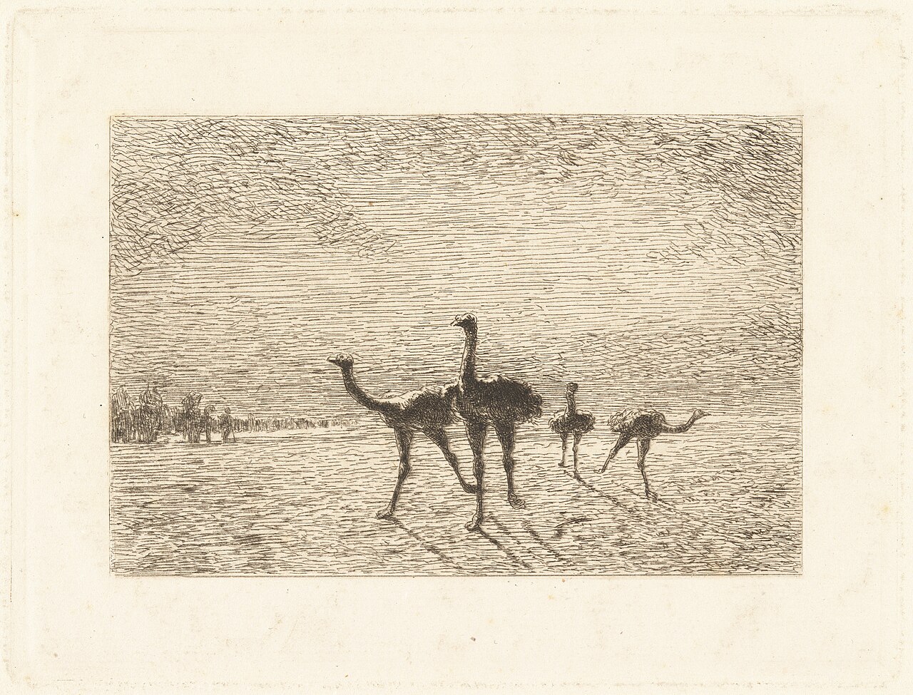 Ostriches in the Desert by Augustin Feyen-Perrin