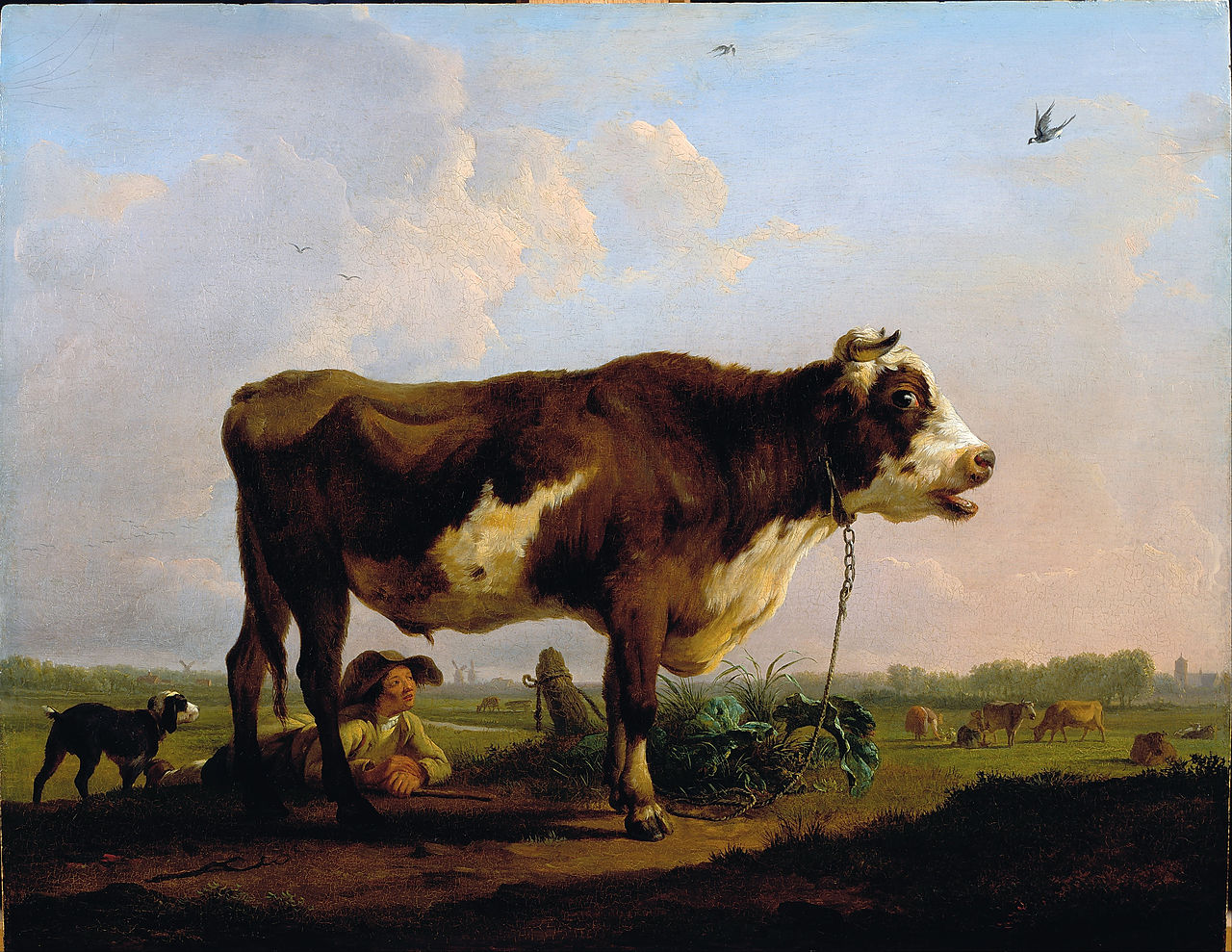 A Bull by Balthasar-Paul Ommeganck