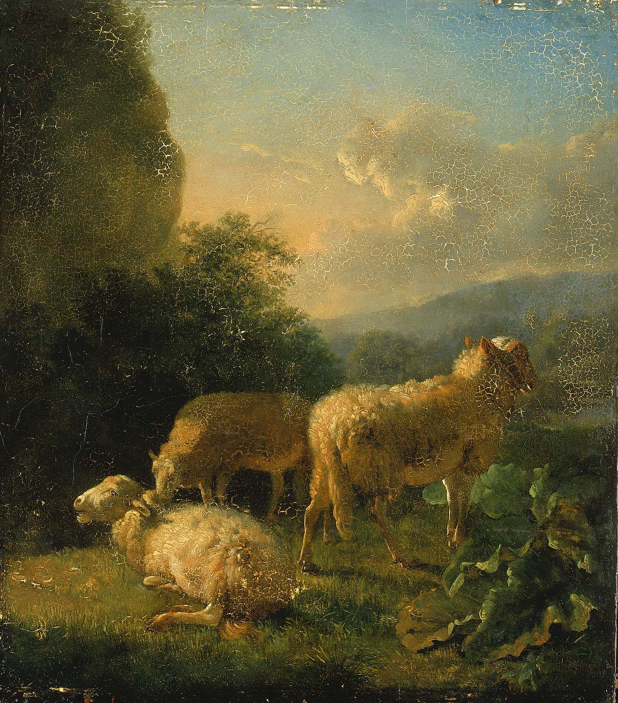 Sheep by Balthasar-Paul Ommeganck
