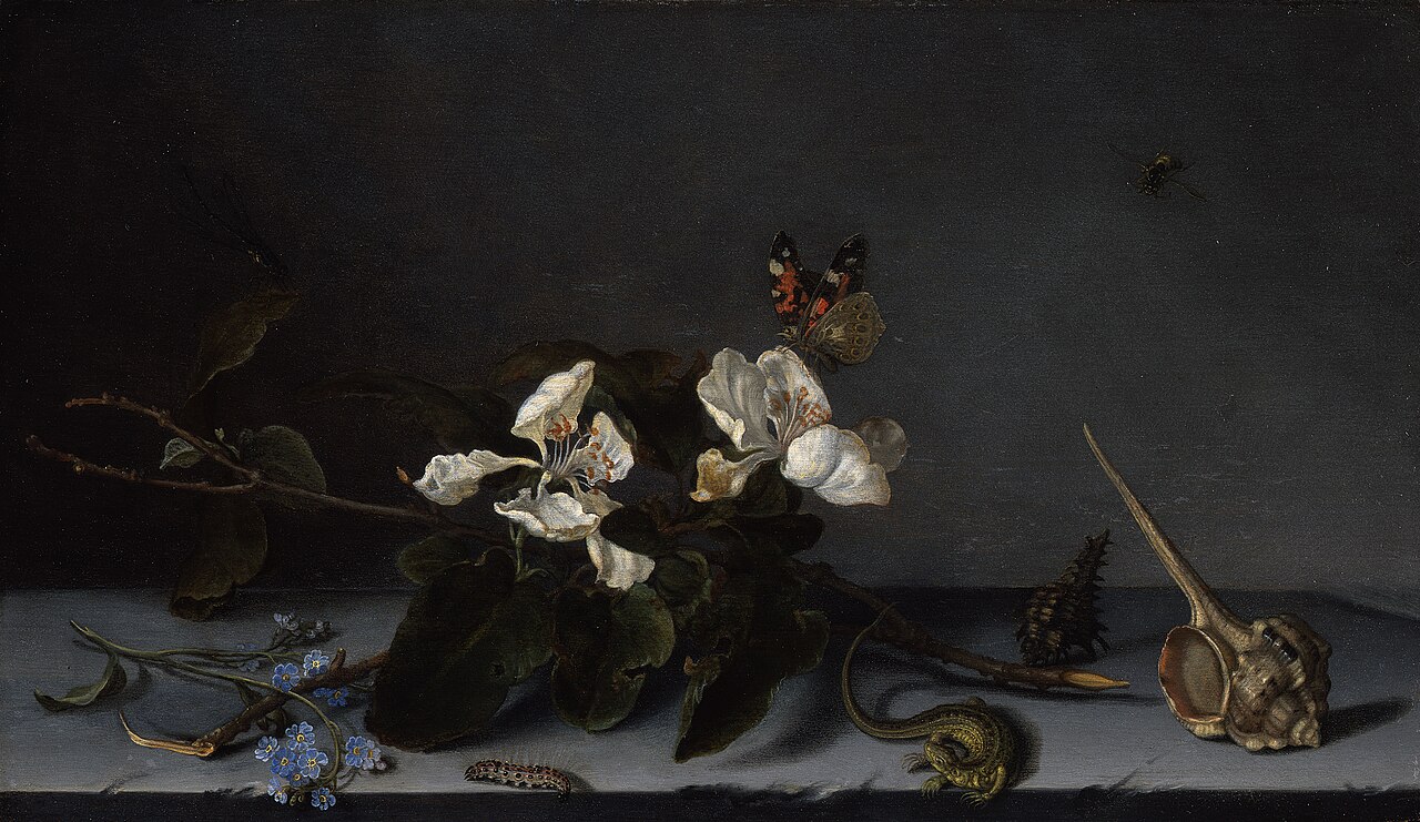 Still Life with Apple Blossoms by Balthasar van der Ast