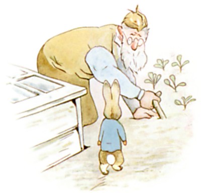 Mr. McGregor by Beatrix Potter