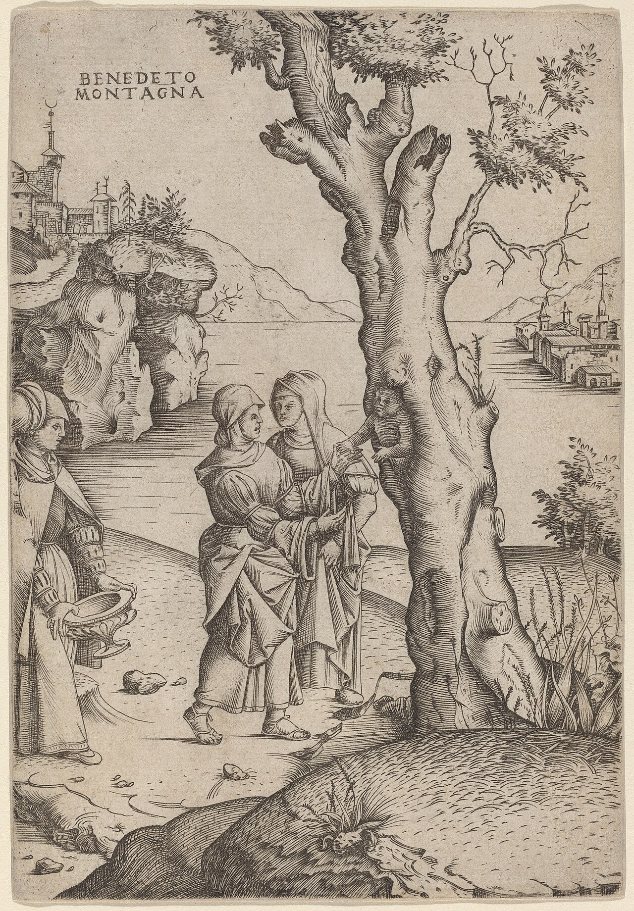 Birth of Adonis by Benedetto Montagna