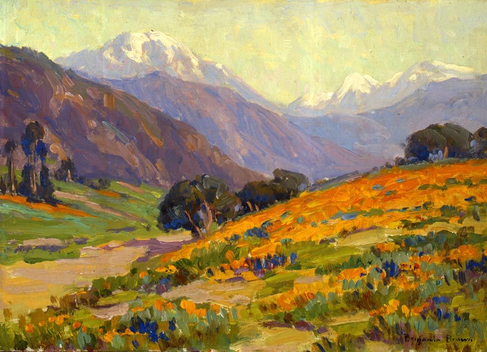 California Poppies by Benjamin Brown