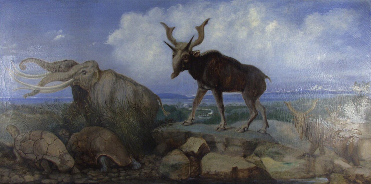 Pleistocene Fauna of Asia by Benjamin Waterhouse Hawkins