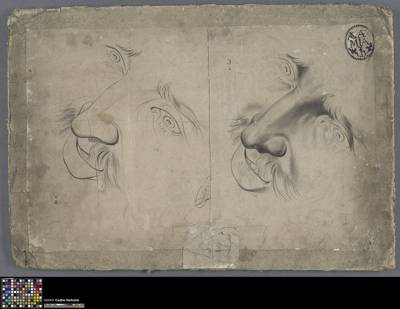 Academic print: study of the face of a man by Bernard-Romain Julien