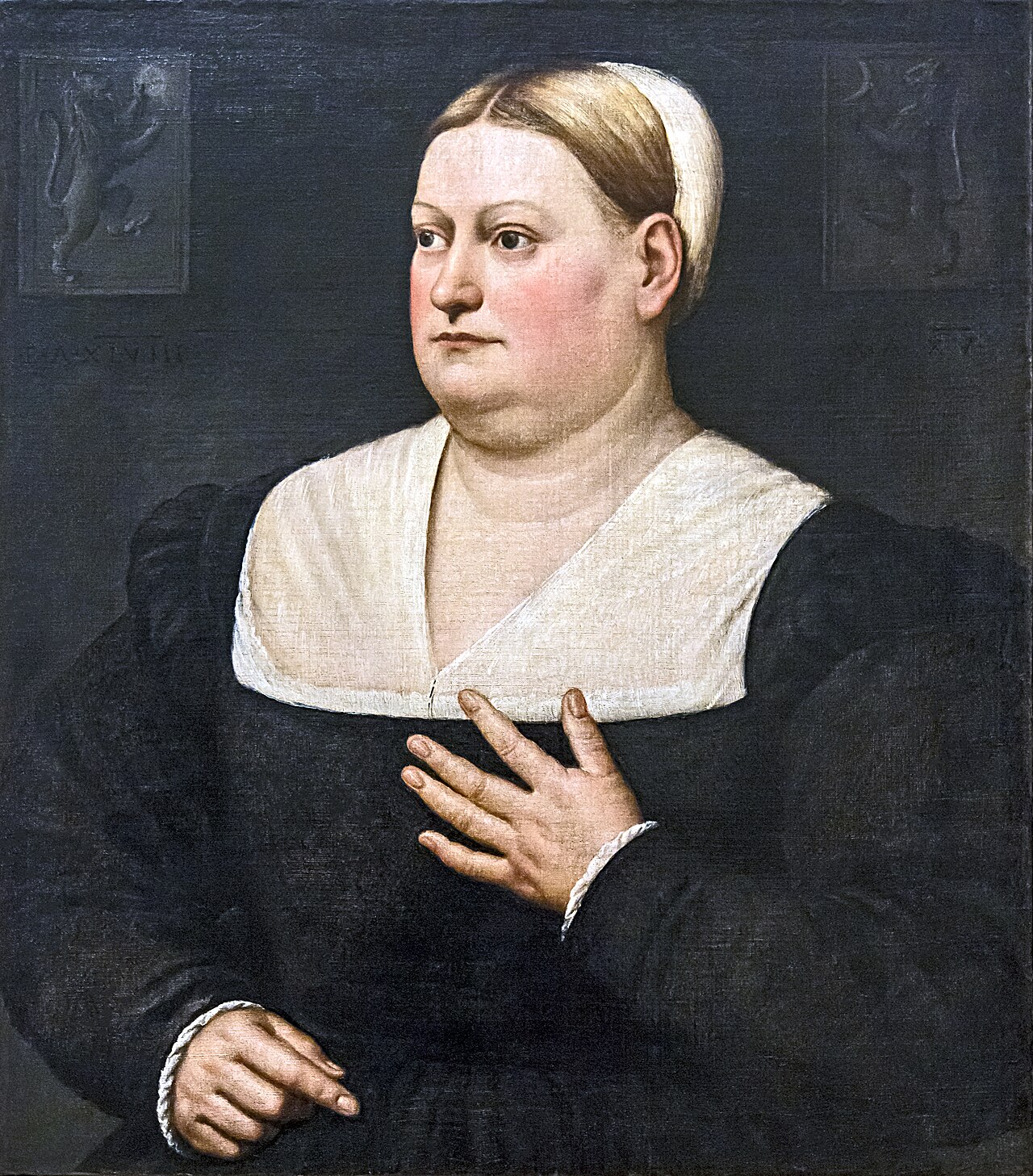Portrait of a Lady by Bernardino Licinio