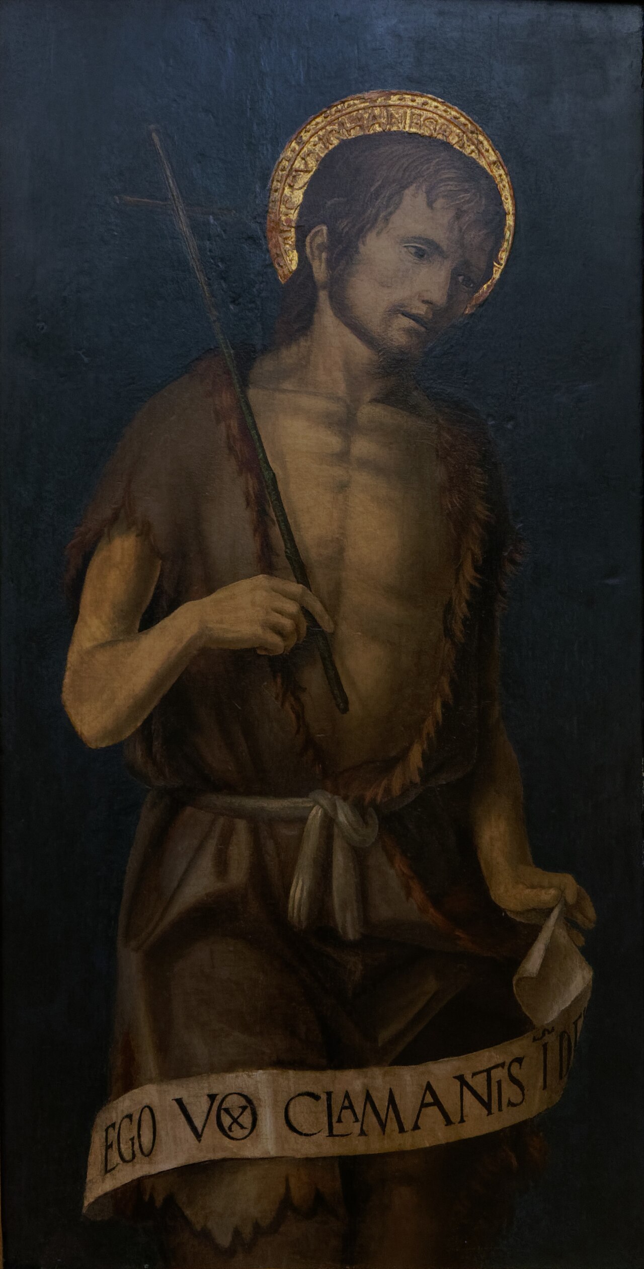 Saint-Jean-Baptiste by Bernardino Zenale - MG 1294 by Bernardo Zenale