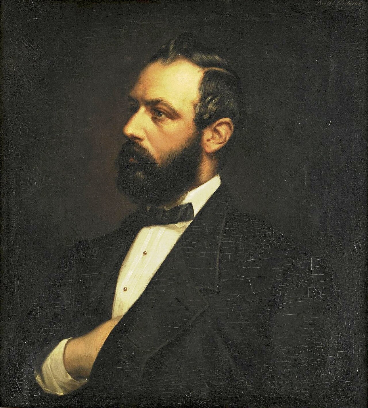 Porträt des Karl XV by Bertha Valerius