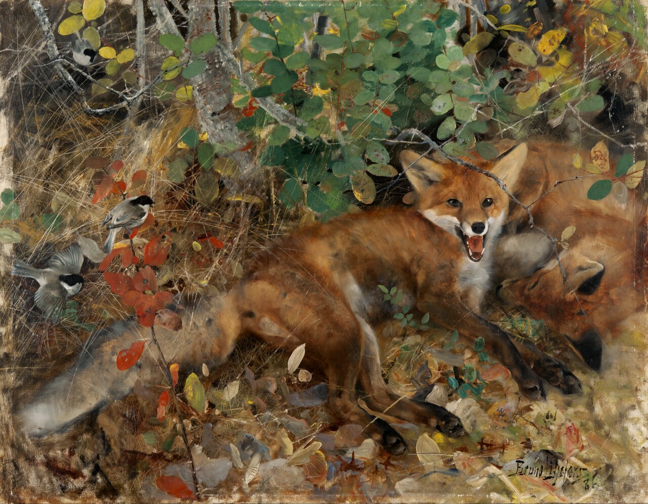 Foxes by Bruno Liljefors