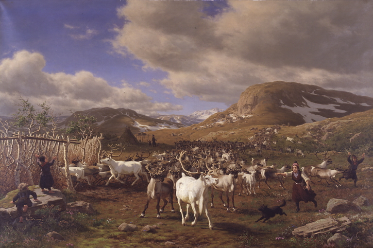 A reindeer herd is driven to the milking parlor. Motif from the high mountains north of Røros by Carl Bøgh