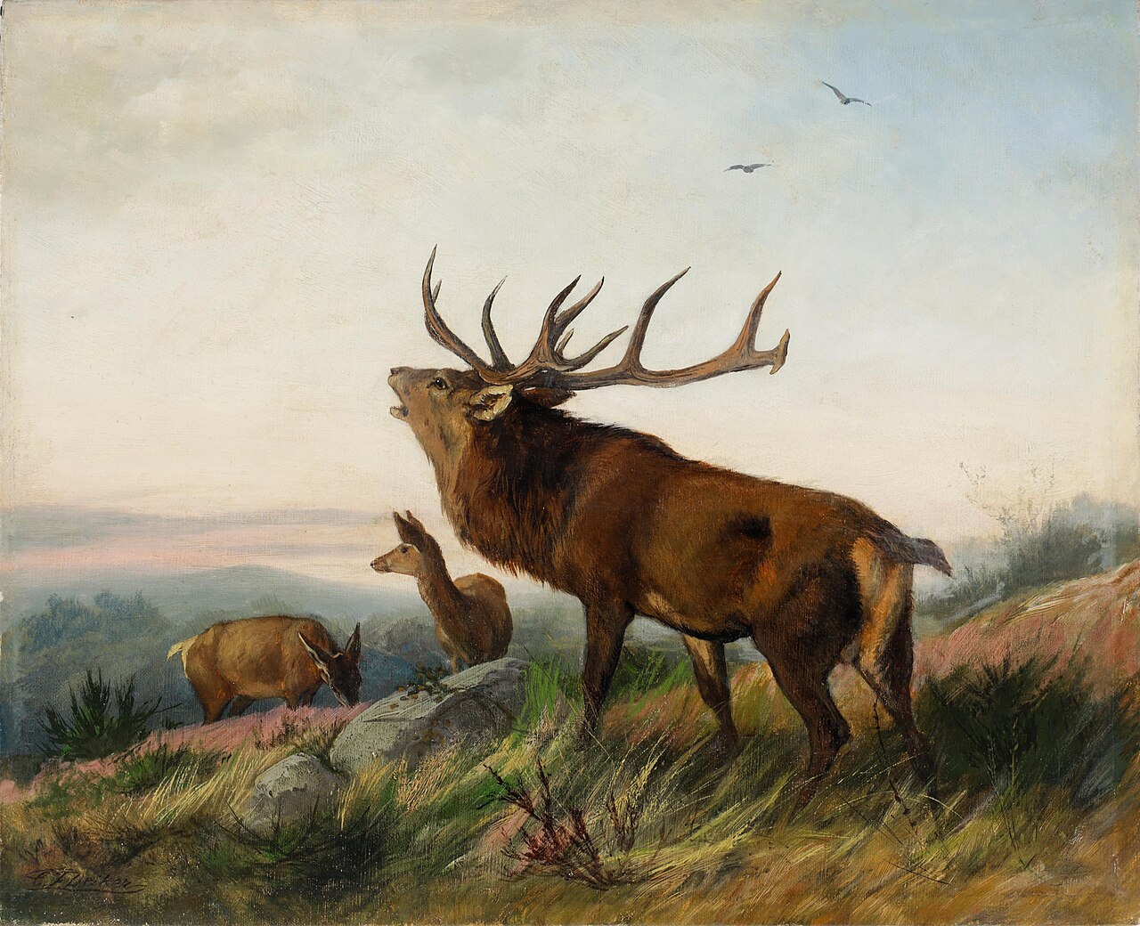 Herd of deer on a hill by Carl Friedrich Deiker
