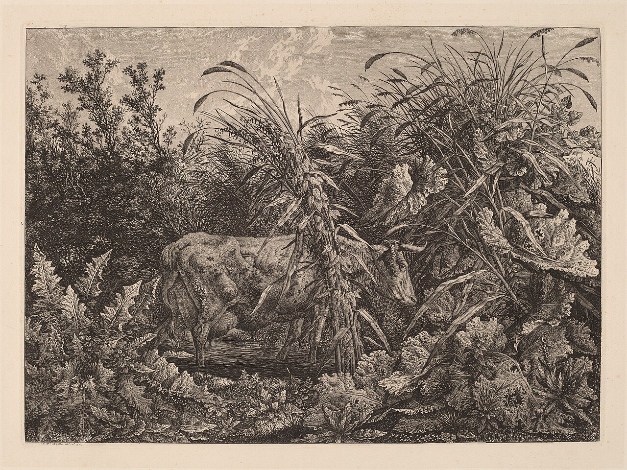 The Cow in the Swamp by Carl Wilhelm Kolbe