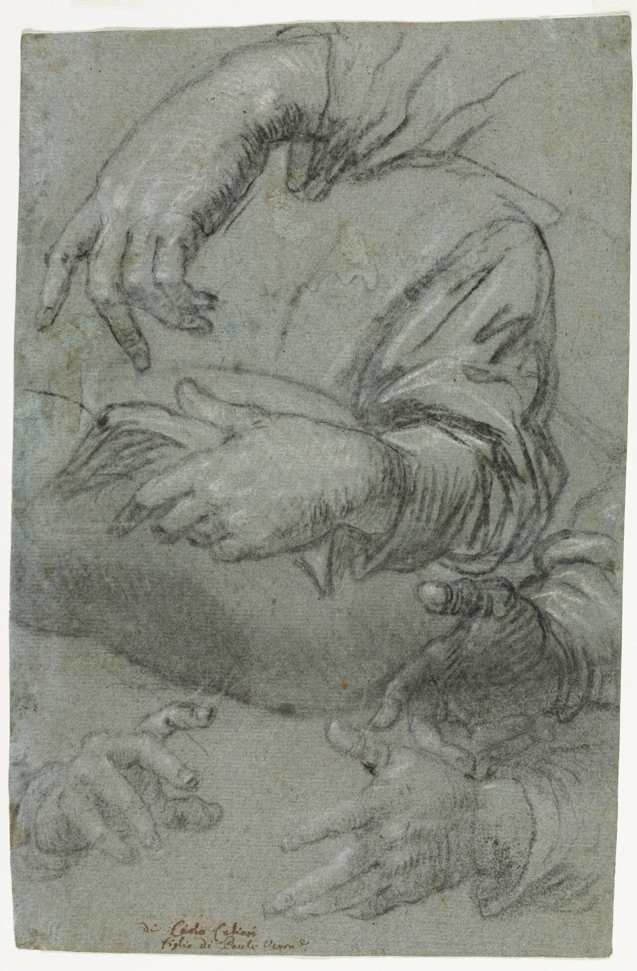 Studies of Hands (recto) by Carlo Caliari