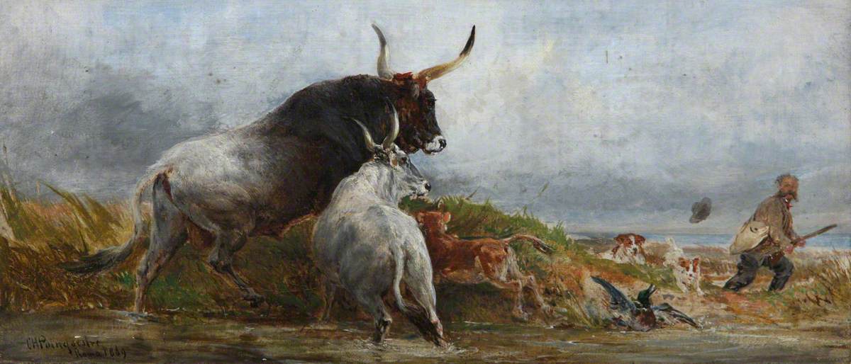 Alarmed: Cattle Chasing a Wild-Fowler by Charles H. Poingdestre