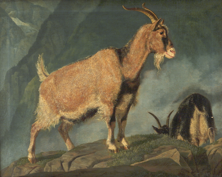 Geder i Alperne by Christian Frederik Carl Holm
