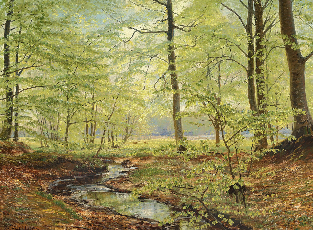 Beech trees in springtime. by Christian Zacho