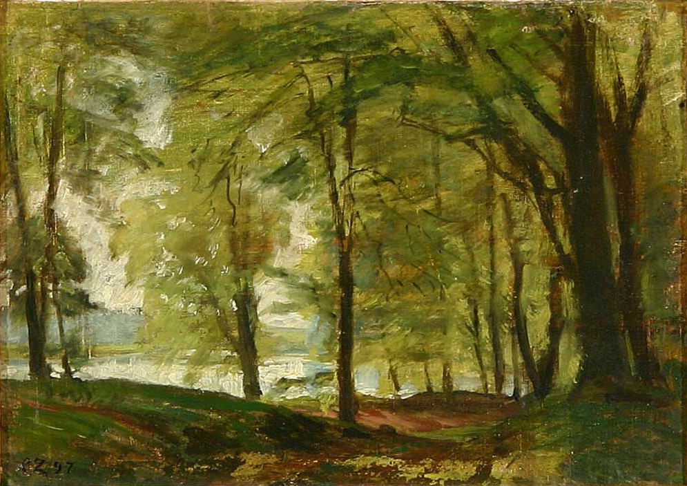 Springtime view of beech trees near a lake. by Christian Zacho