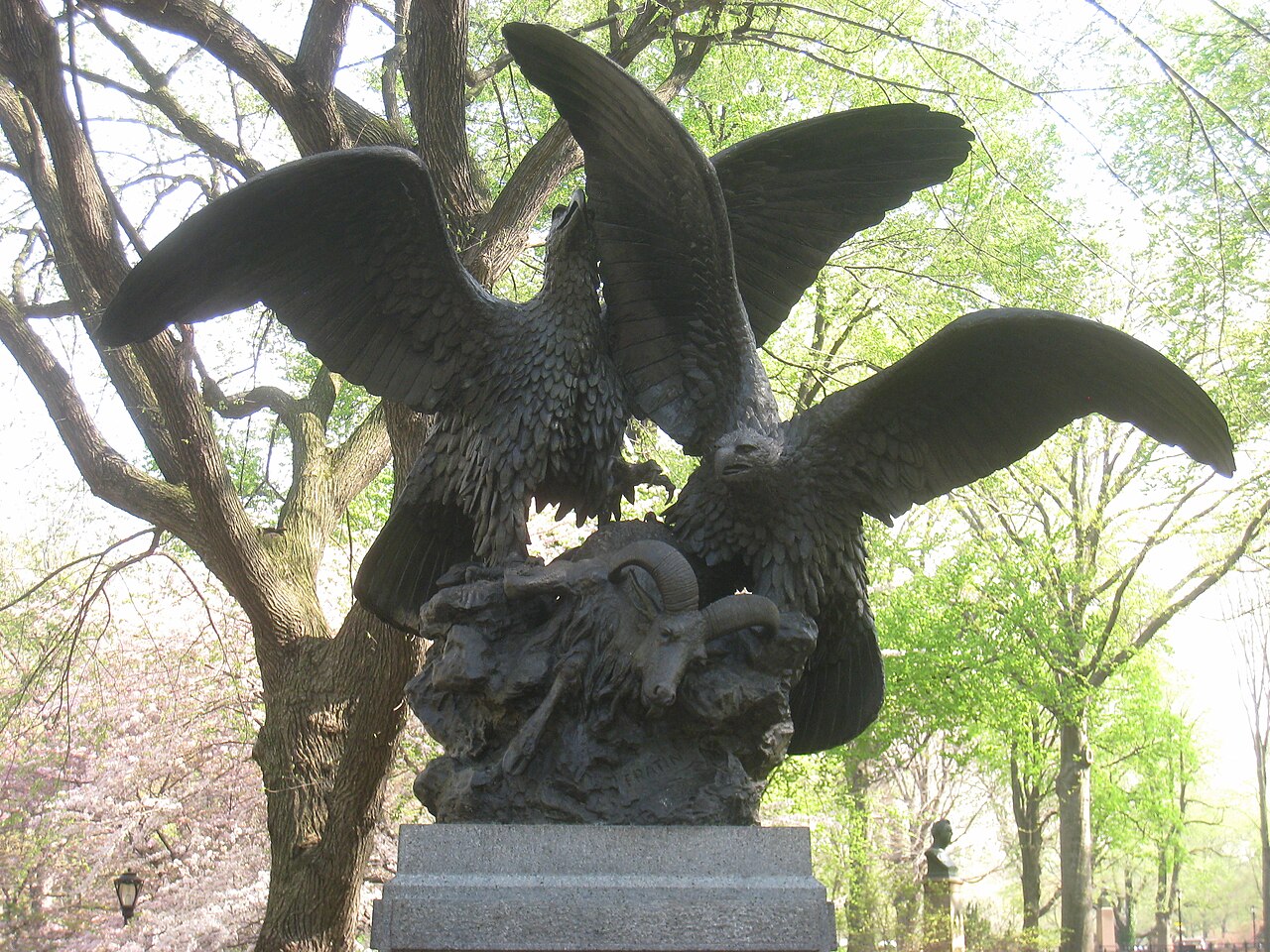 Eagles and Prey by Christopher Fratin